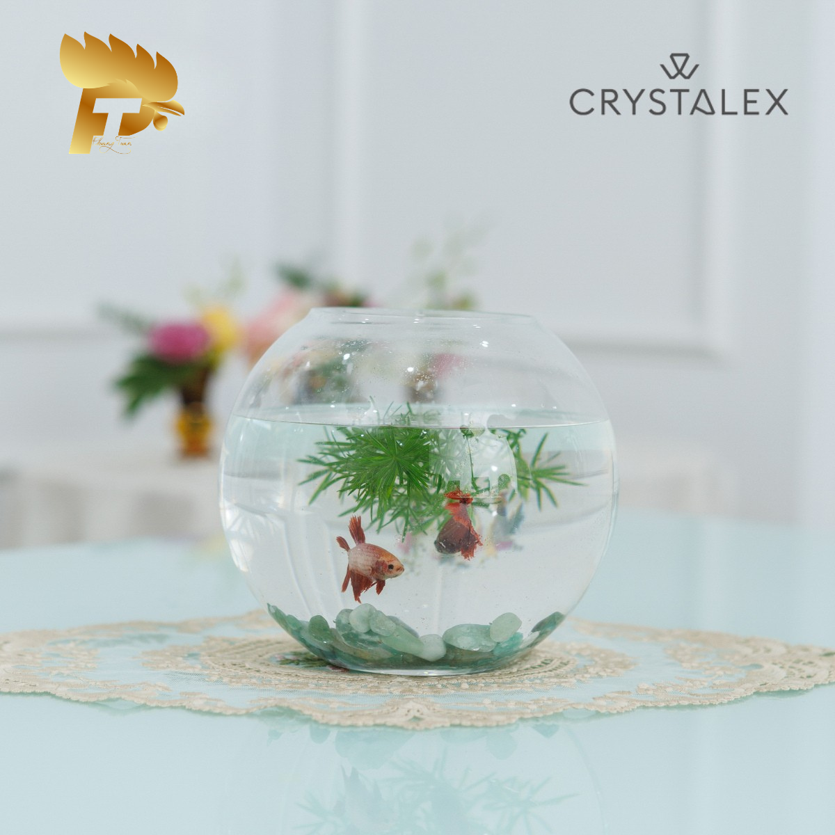 LỌ HOA PHA LÊ TRÒN FLORERO PECERA 17.5CM 8 82508 175 3